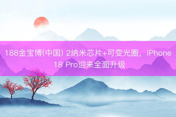 188金宝博(中国) 2纳米芯片+可变光圈，iPhone 18 Pro迎来全面升级