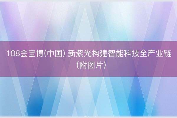 188金宝博(中国) 新紫光构建智能科技全产业链（附图片）