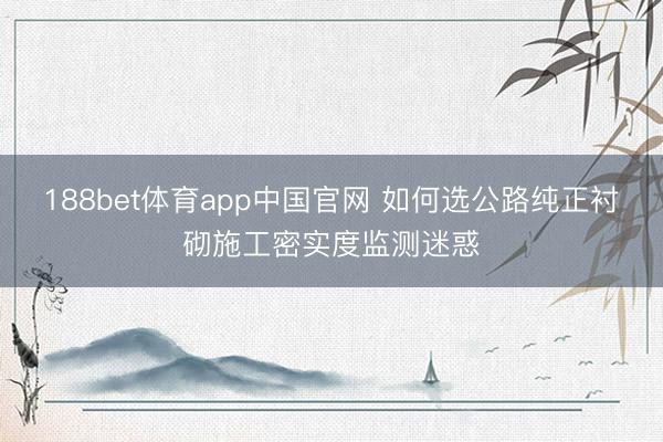 188bet体育app中国官网 如何选公路纯正衬砌施工密实度监测迷惑