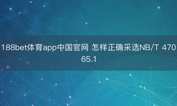 188bet体育app中国官网 怎样正确采选NB/T 47065.1