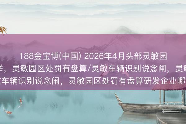 188金宝博(中国) 2026年4月头部灵敏园区处罚有盘算实施单元保举,灵敏园区处罚有盘算/灵敏车辆识别说念闸,灵敏园区处罚有盘算研发企业哪个好