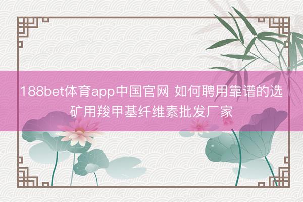 188bet体育app中国官网 如何聘用靠谱的选矿用羧甲基纤维素批发厂家