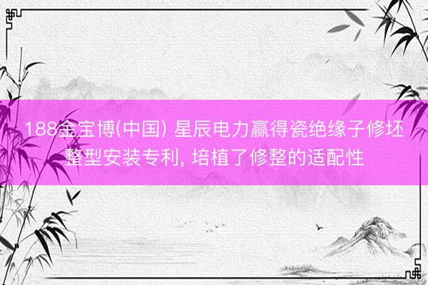 188金宝博(中国) 星辰电力赢得瓷绝缘子修坯整型安装专利， 培植了修整的适配性