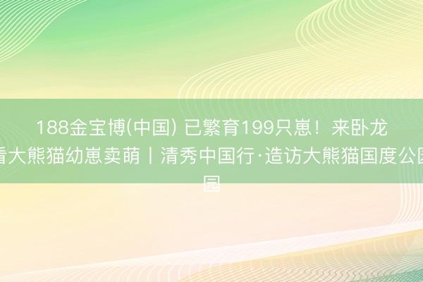 188金宝博(中国) 已繁育199只崽！来卧龙看大熊猫幼崽卖萌丨清秀中国行·造访大熊猫国度公园