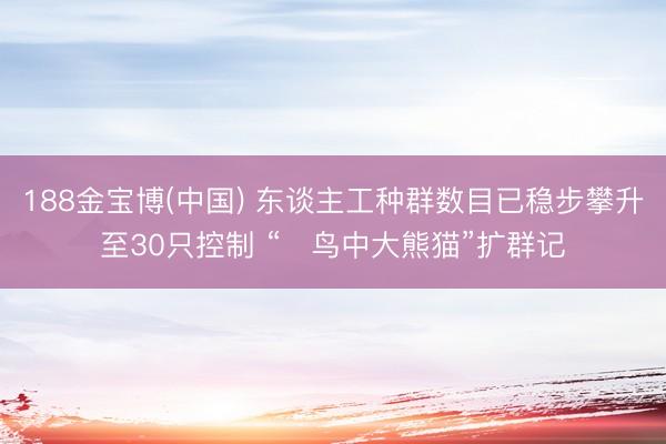 188金宝博(中国) 东谈主工种群数目已稳步攀升至30只控制 “​鸟中大熊猫”扩群记