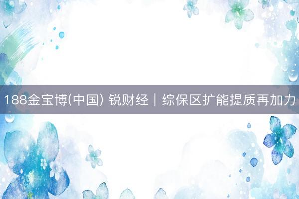 188金宝博(中国) 锐财经｜综保区扩能提质再加力