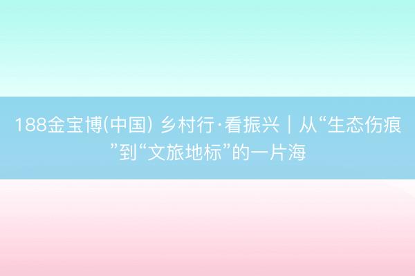 188金宝博(中国) 乡村行·看振兴|从“生态伤痕”到“文旅地标”的一片海