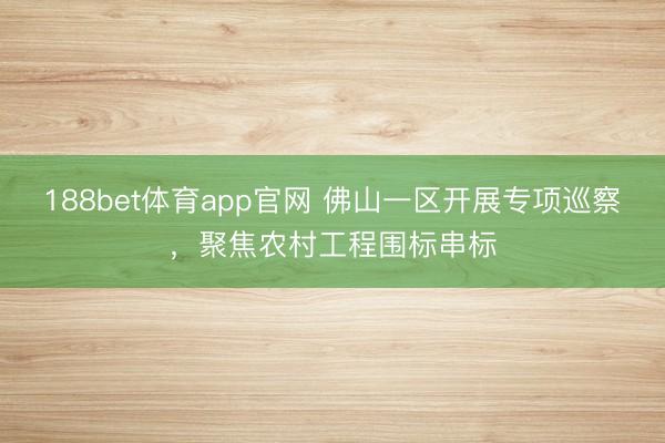 188bet体育app官网 佛山一区开展专项巡察，聚焦农村工程围标串标