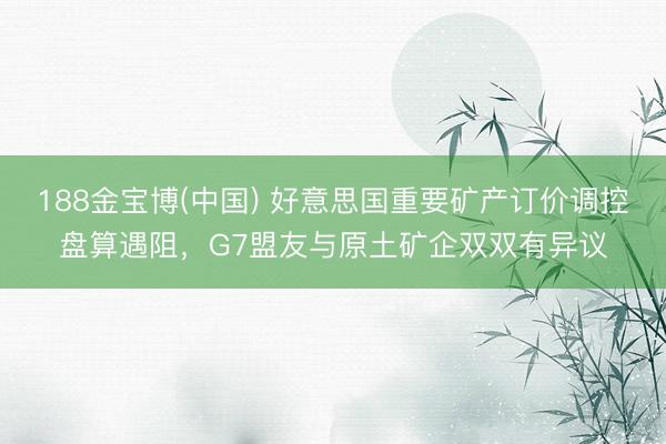 188金宝博(中国) 好意思国重要矿产订价调控盘算遇阻，G7盟友与原土矿企双双有异议